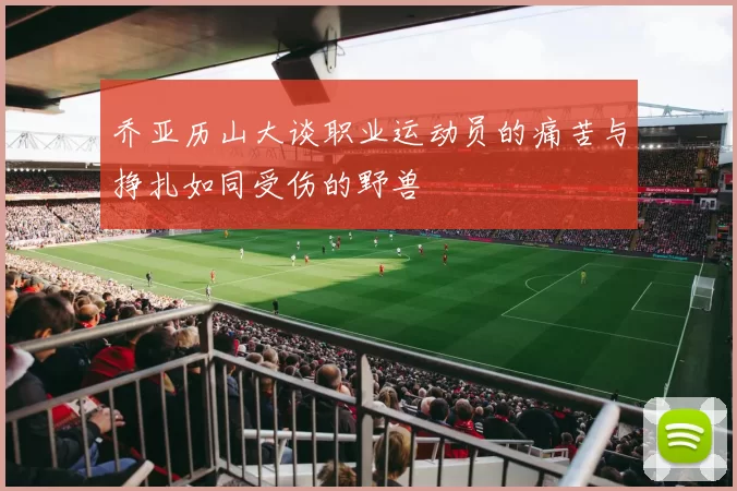 乔亚历山大谈职业运动员的痛苦与挣扎如同受伤的野兽